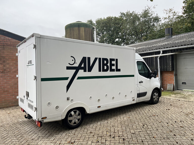 Avibel Levering legkippen